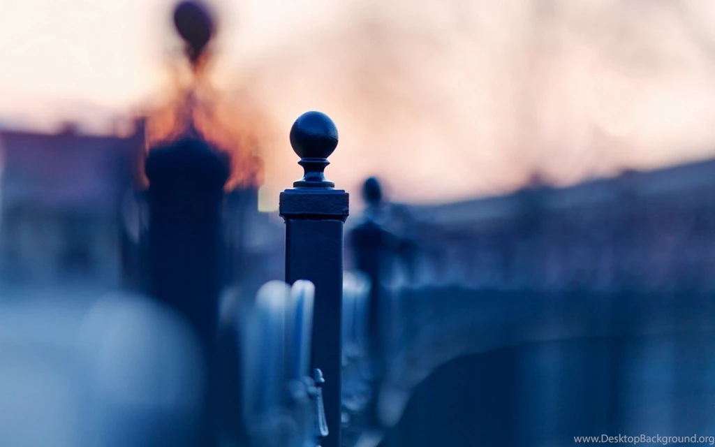 Close Up Wallpapers HD