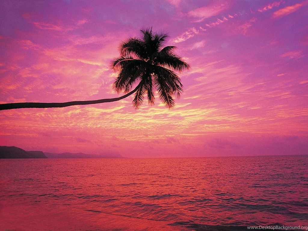 Wallpapers Kerala Nature Beauty