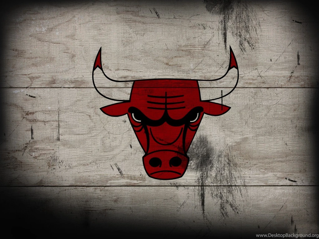 Bull Animal Hd Wallpapers Free Download 1080p