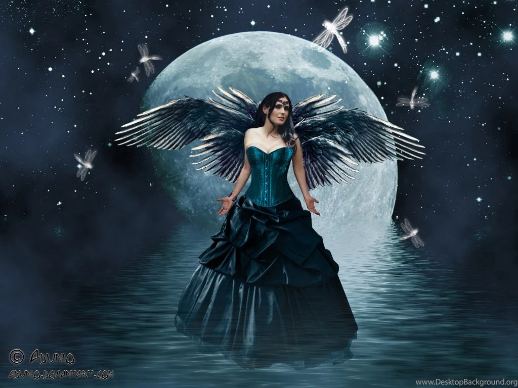 Trololo Blogg: Fairy Wallpapers