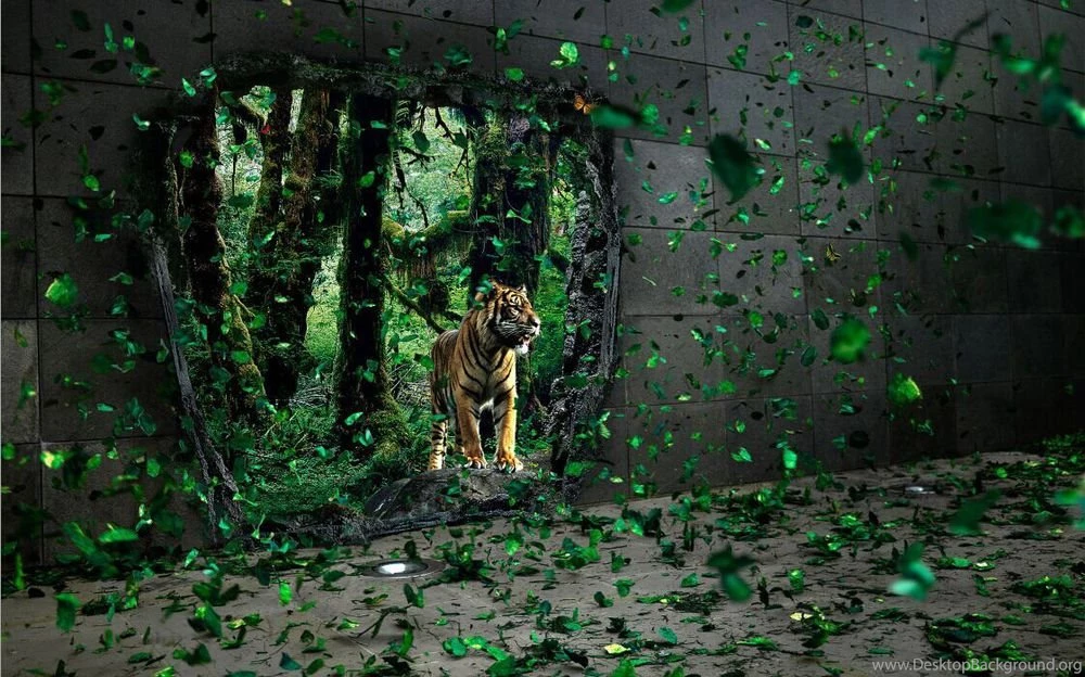 Wholesale 3D 015 Lifelike Tiger 3D Effect Textured Korea Wallpapers ...