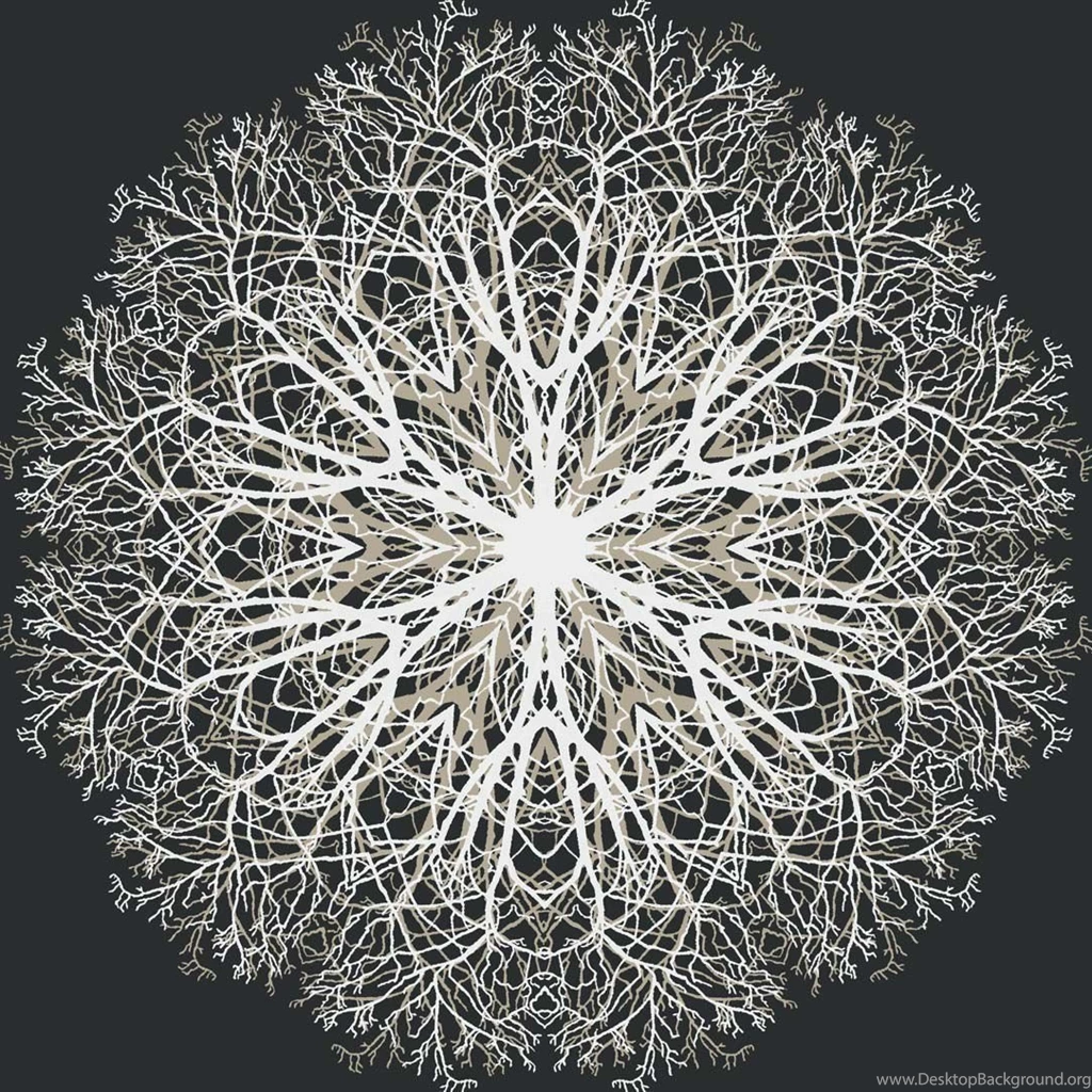 Paper Wallpapers / Design / Patterned / 3D Effect   EXCLUSIVE   Eco