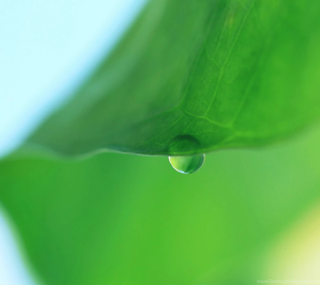 Golden Wave Lg G Flex 2 Wallpapers HD 2160x1920