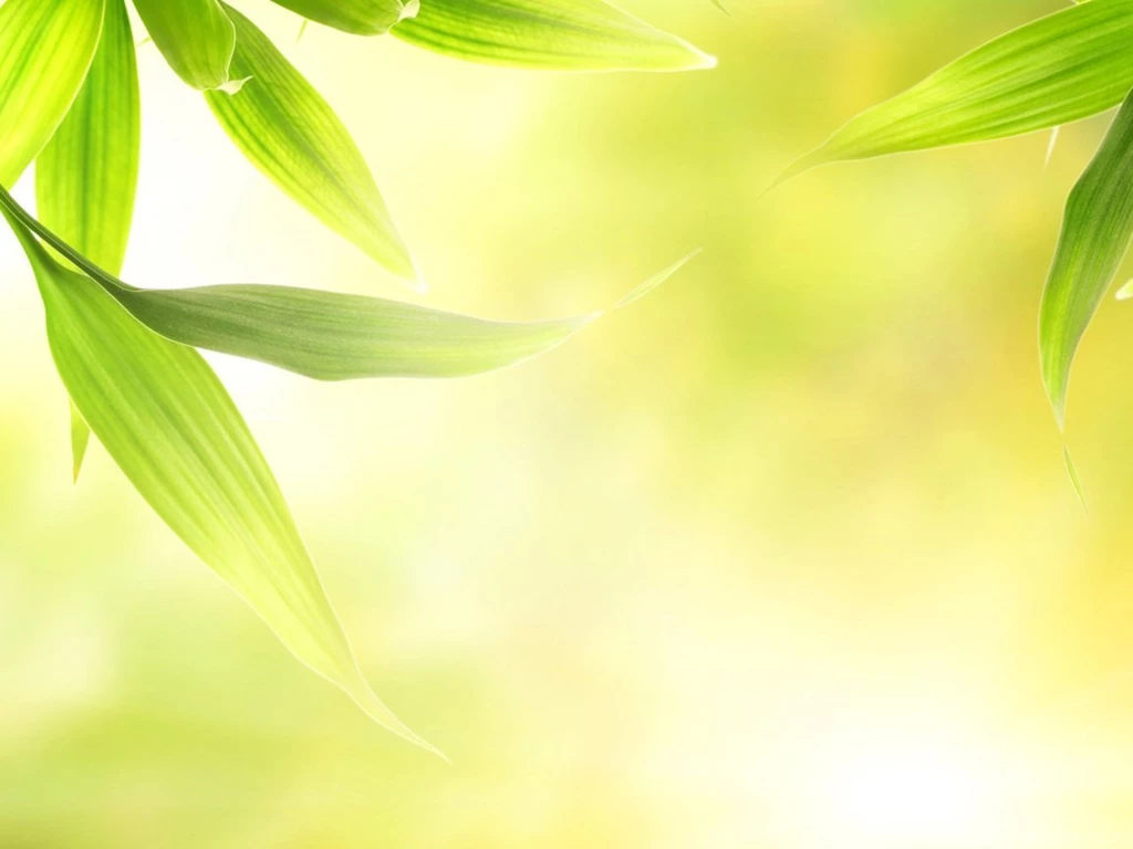 Green Leaves 1152x864 Wallpapers, 1152x864 Wallpapers & Pictures ...