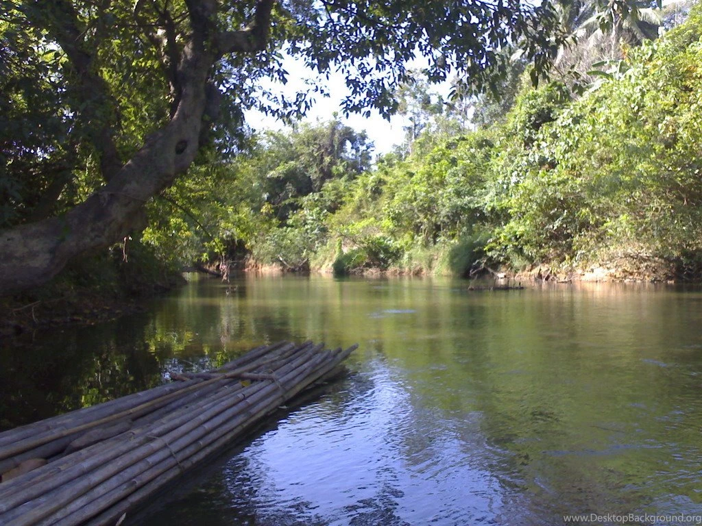 Wallpapers Desktop Nature