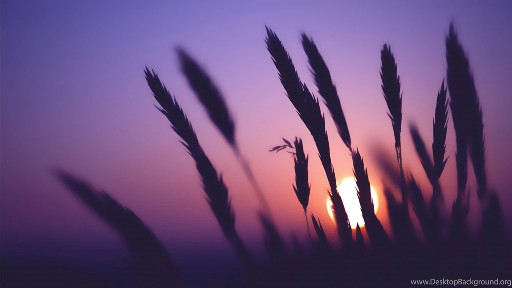 150 Wallpapers (1366x768)   Album On Imgur