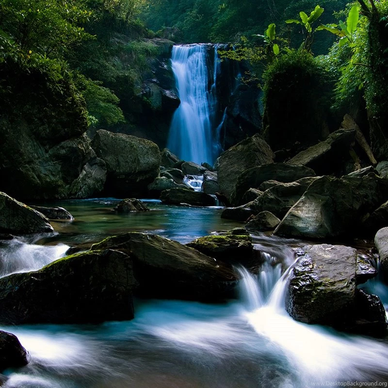 Nook Hd Backgrounds All Wallpapers New