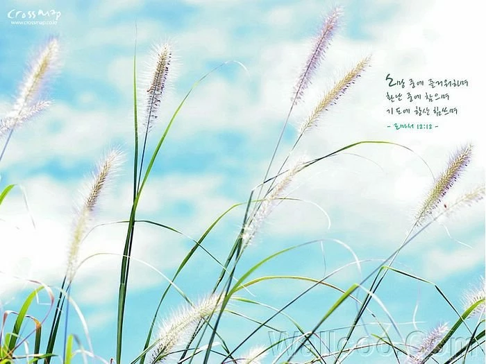 Scenery Wallpapers With Christian Proverbs 7 Wallcoo.net