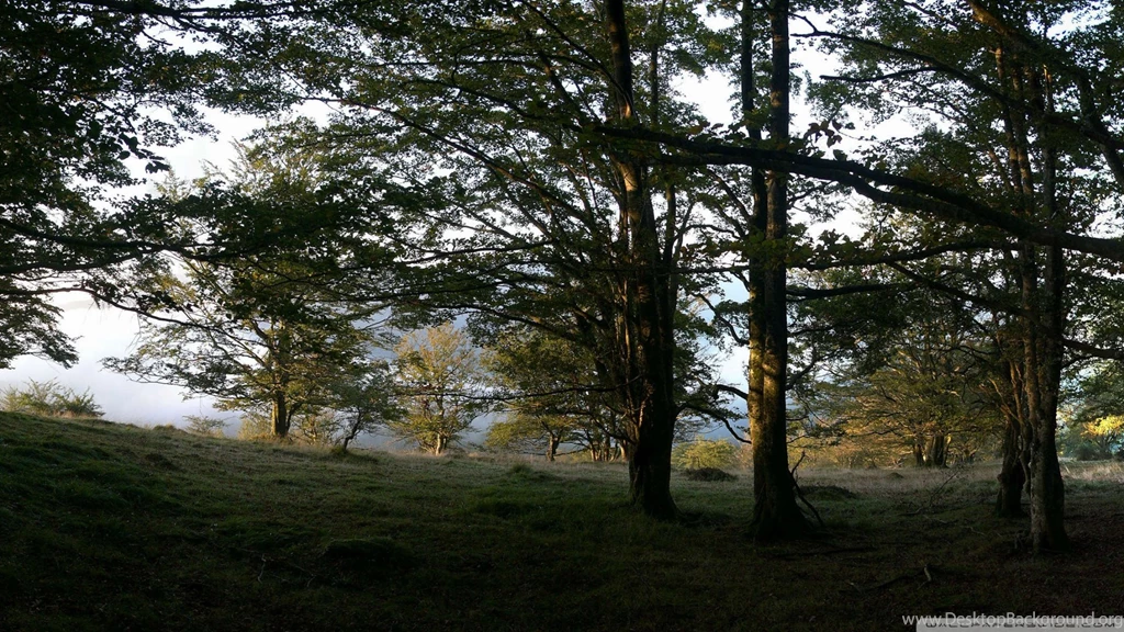 Download Dual Monitors Wallpapers 2560x1024