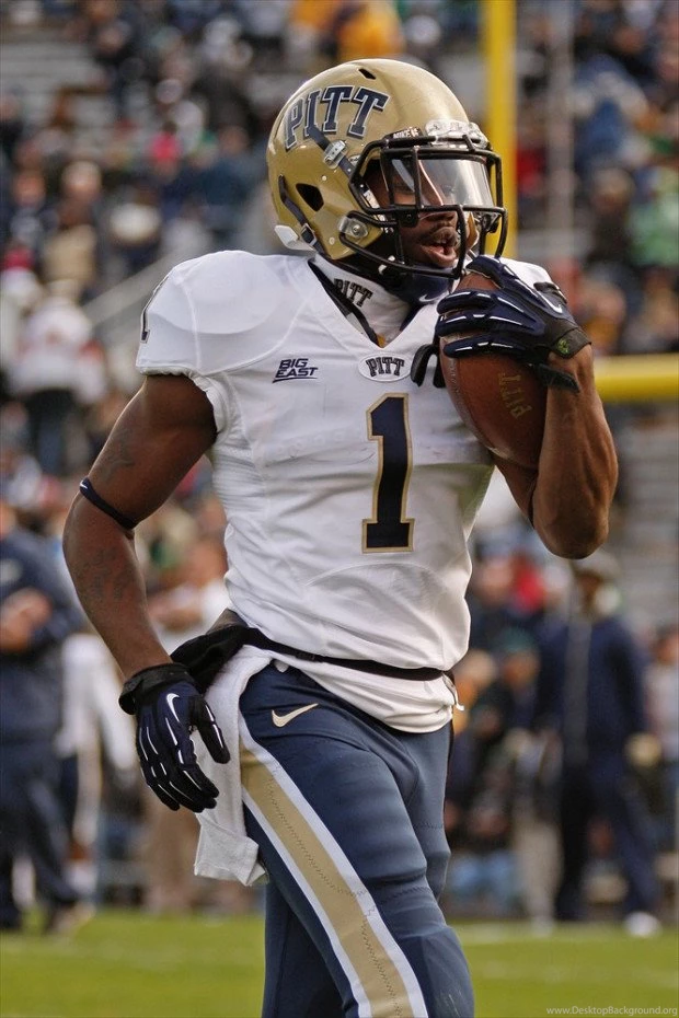 Pittsburgh Football Wallpapers   Snap! Wallpapers