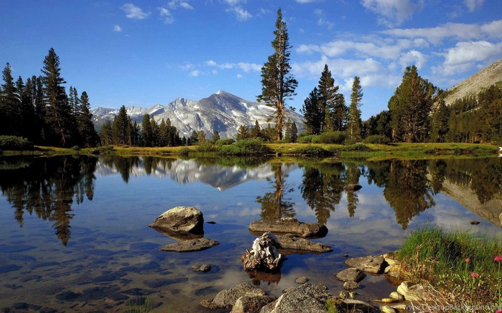 Wallpapers 1280x800 Images Tbwnz.com