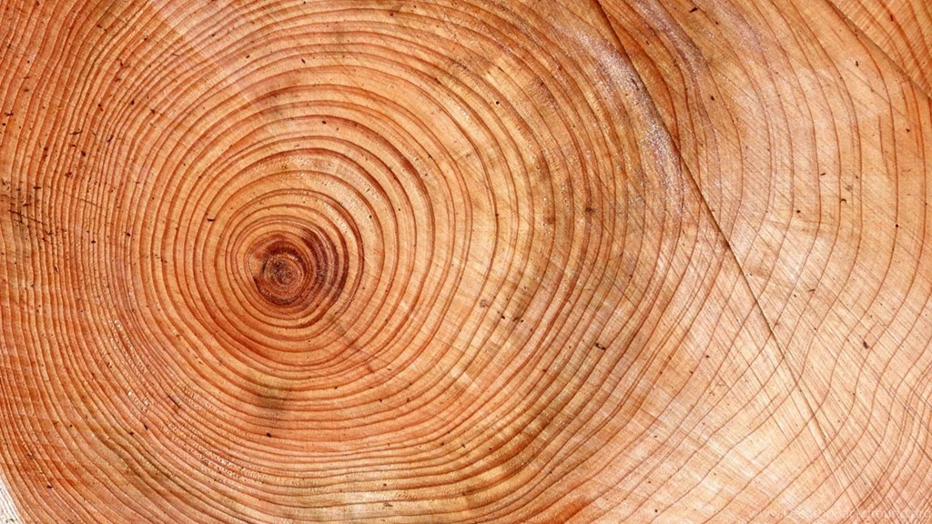 Beautiful Wood Texture Desktop Wallpapers Free Downloads