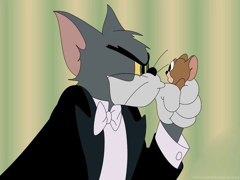 Cartoon Tom And Jerry Wallpapers Hd For Android Mobile