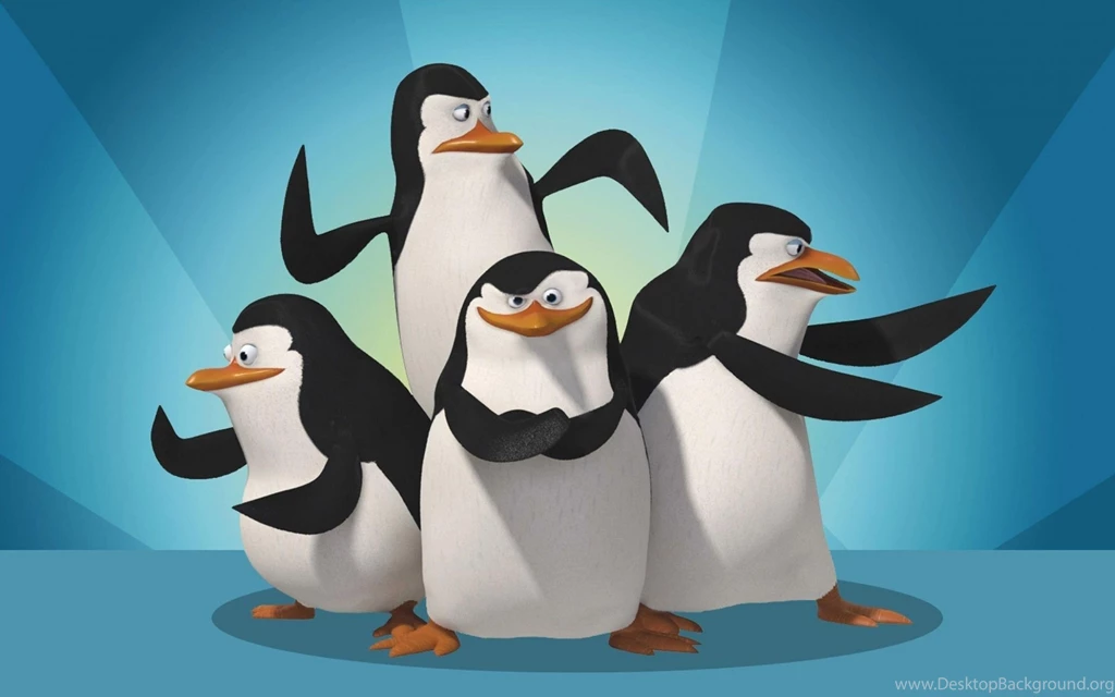 78 Penguin HD Wallpapers