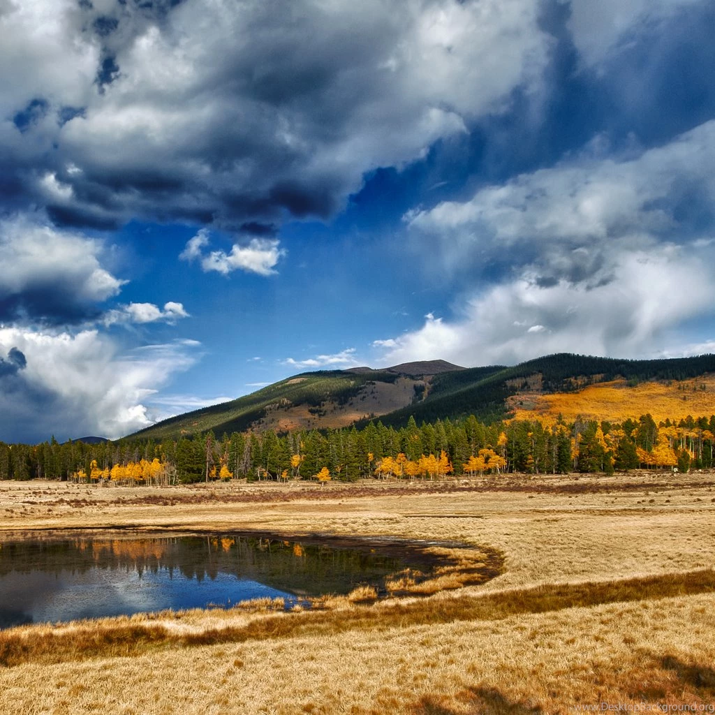 InterfaceLIFT Wallpaper: Aspen Wetland