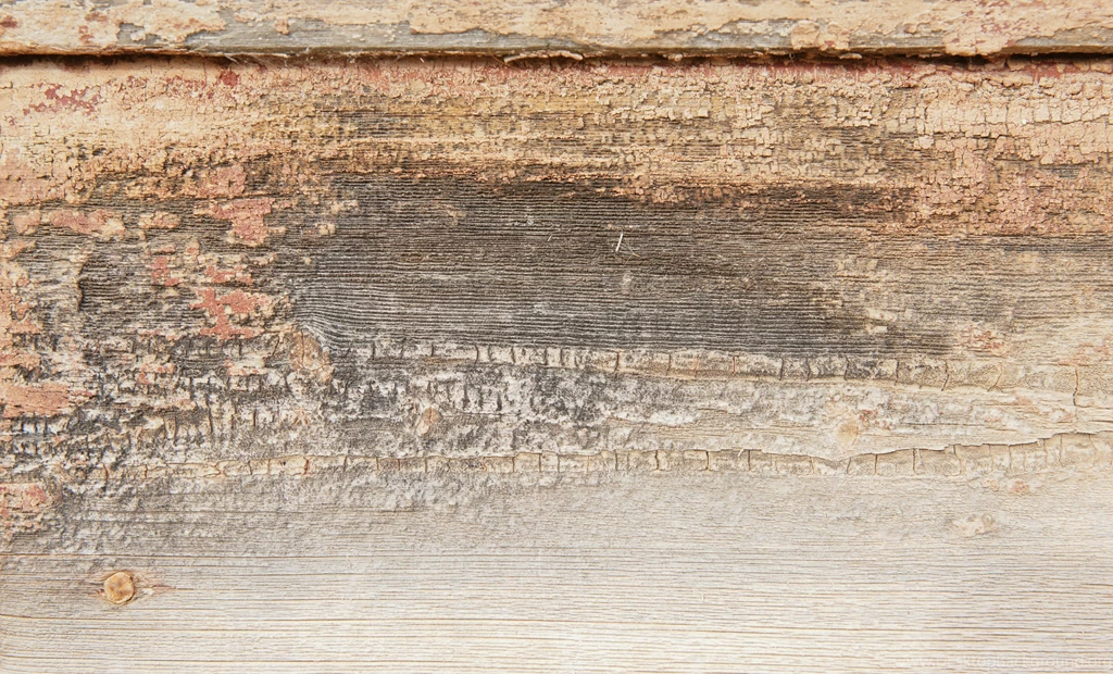 Old Grungy Wood Wall Backgrounds Texture