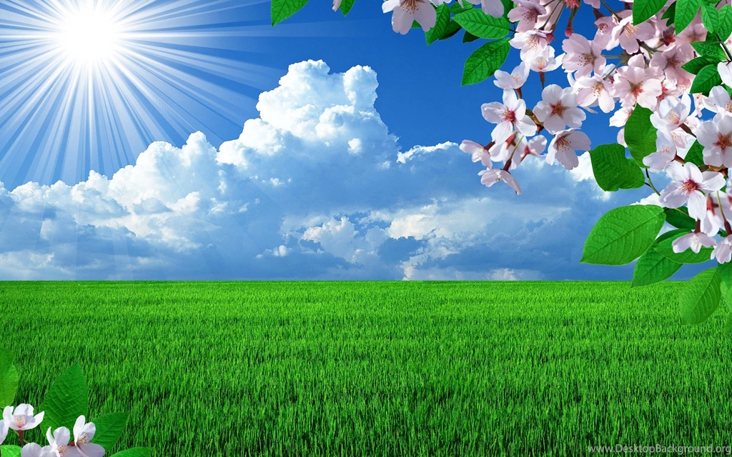Beautiful Nature Images