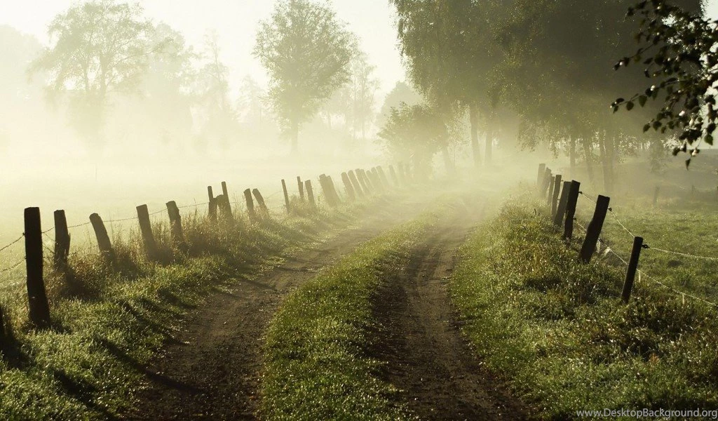 Morning Nature High Definition Wallpapers Lovely Desktop ...