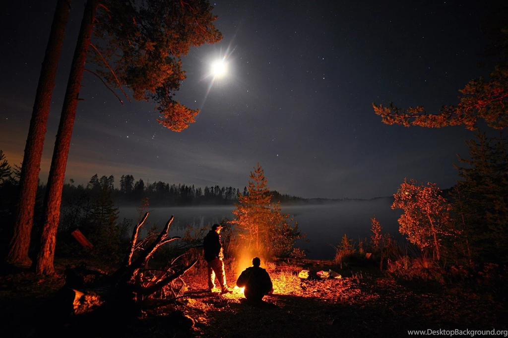Landscape, Lake, Pine Trees, Camping Wallpapers HD / Desktop And ...