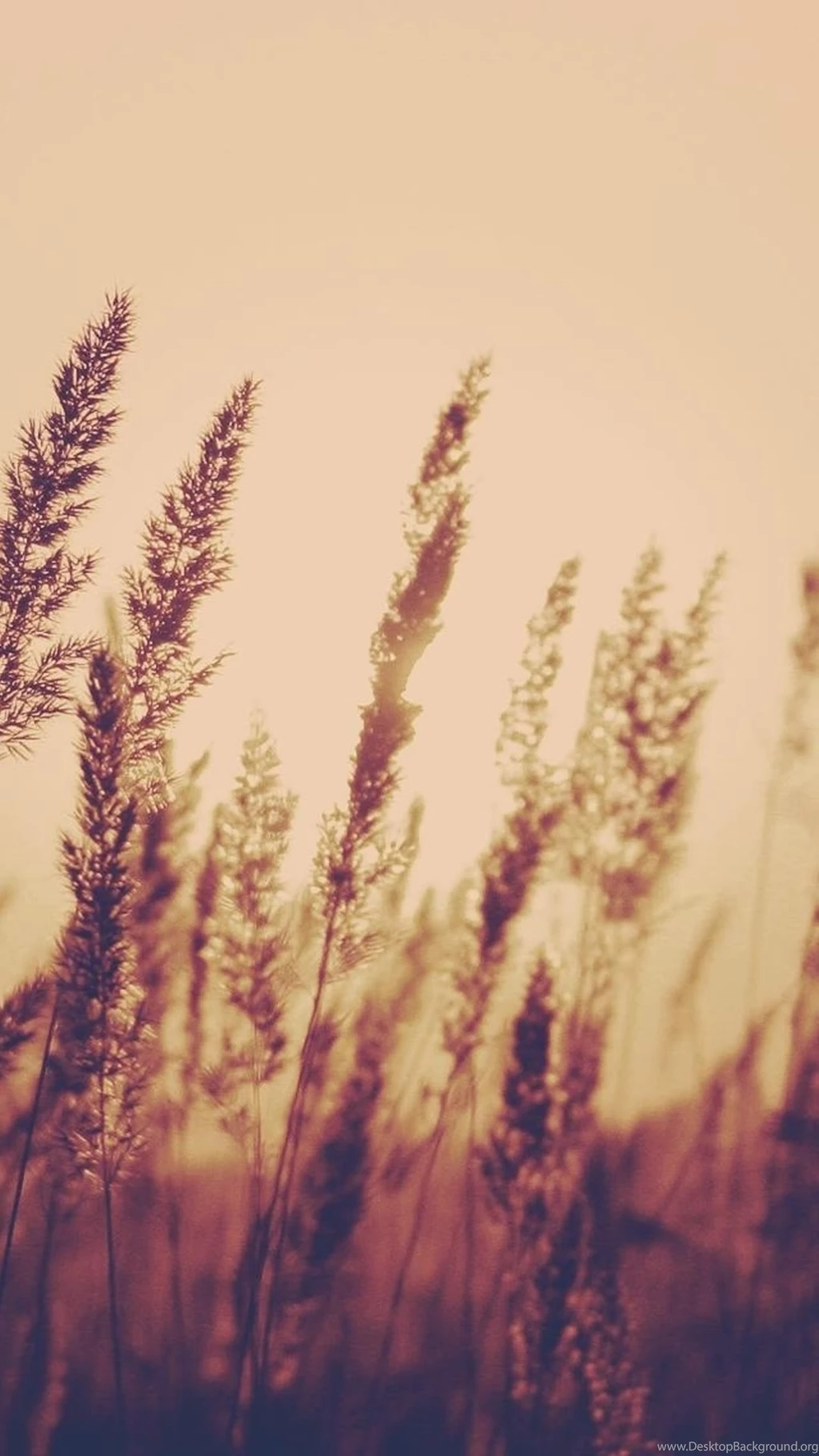 Aesthetic iPhone 6 Wallpapers Desktop Background Aesthetic iPhone 6 Wallpapers Desktop Background
