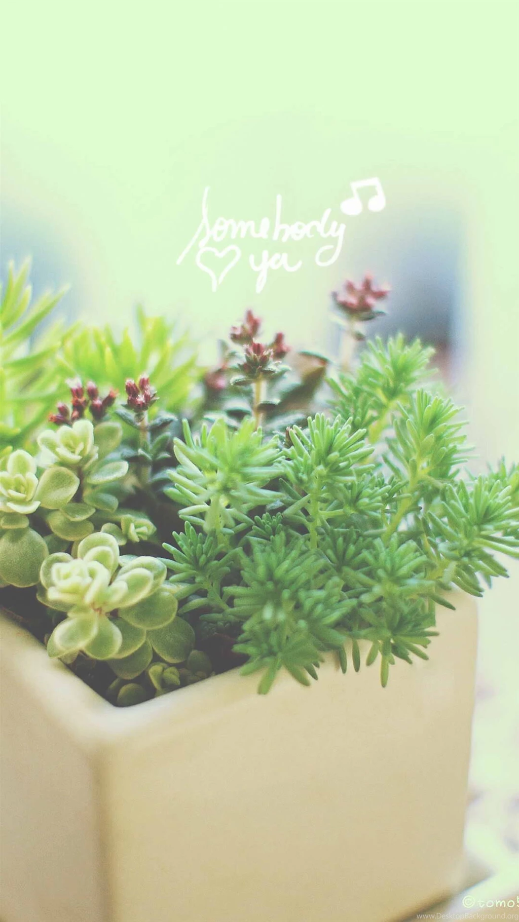 Aesthetic iPhone 6 Wallpapers