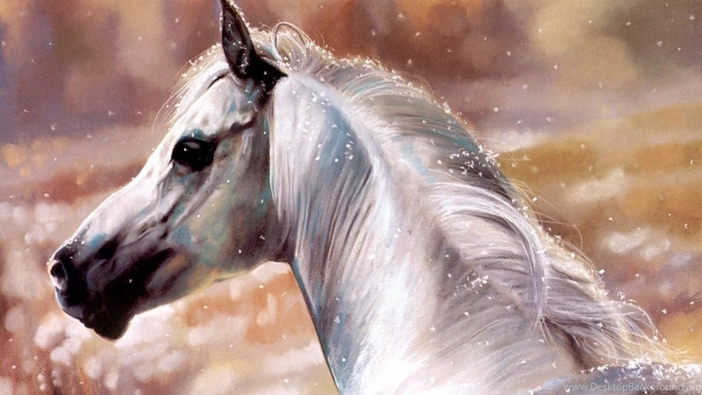 Horses: White Horse Fantasy Horses Animals Nature HD Pictures For ...