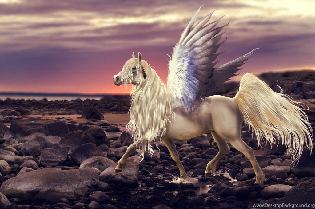 Horses Wallpapers