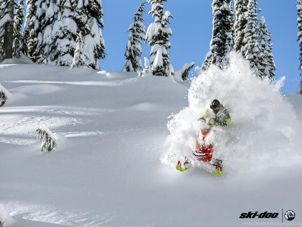 2016 Ski Doo Freeride™ 137 800R E TEC E.S., Powdermax 1.75 ...
