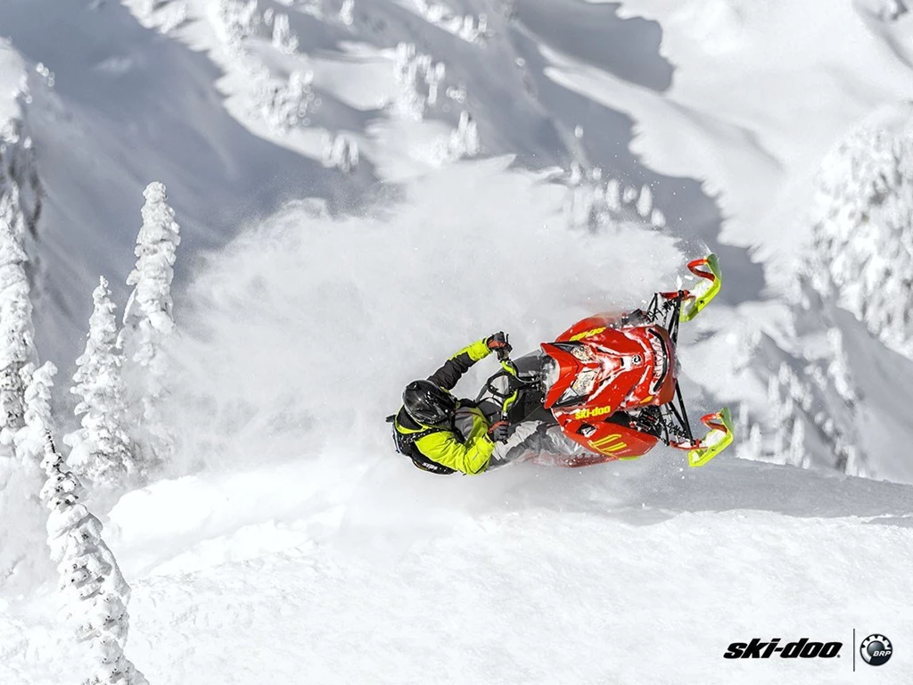 2016 Ski Doo Freeride™ 146 800R E TEC, PowderMax 2.5" Snowmobiles ...