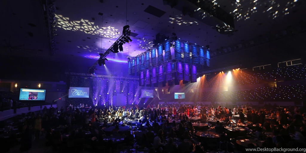 The CATSPY Awards   UK Wildcats