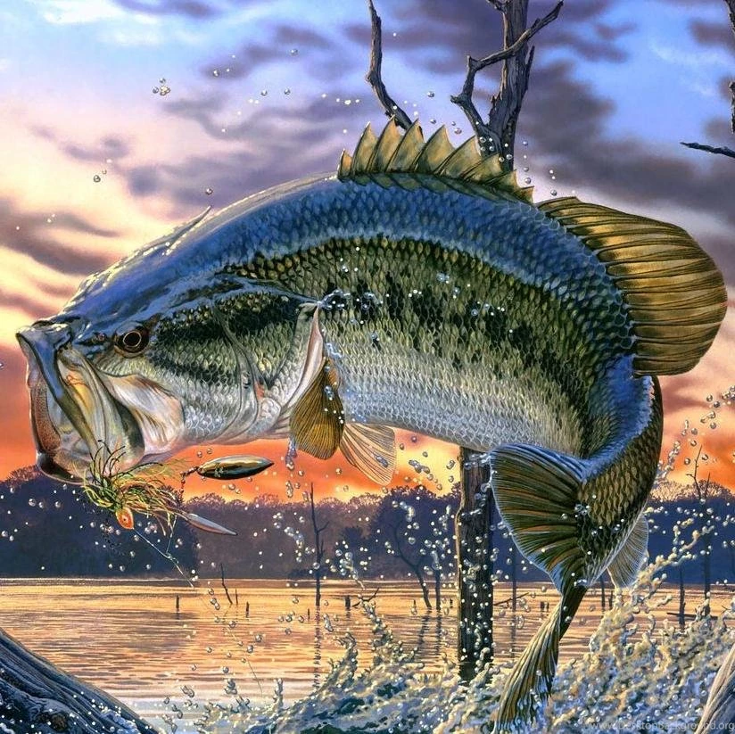 Leland's Lures: Crappie Magnet 15 Piece Red/Chartreuse