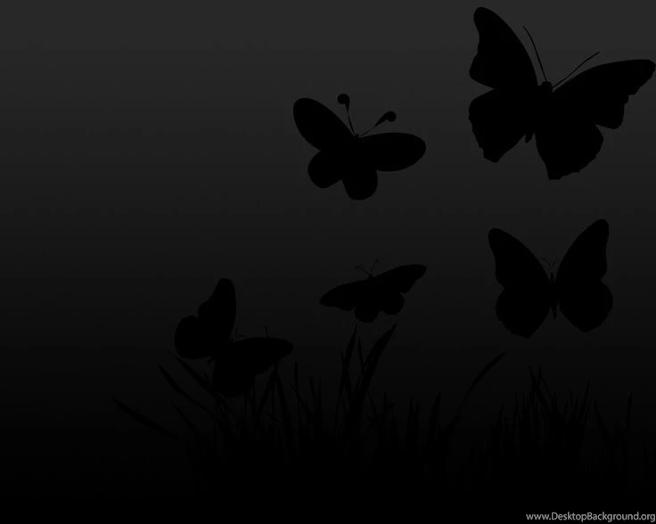 Color Negro Black!!! Butterflies