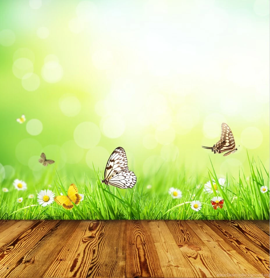 Compare Prices On Fairy Backgrounds Online Shopping/Buy Low Price ...