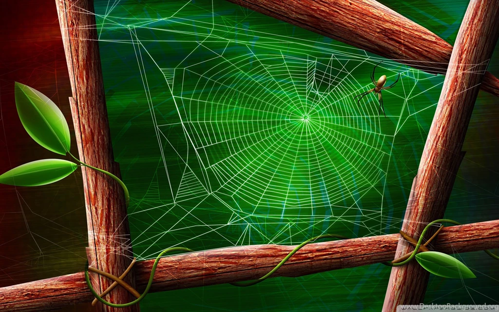 Spider Web Wallpapers 512640