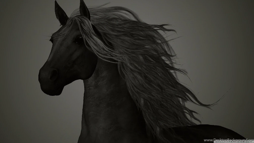 Horses: Black Arabian Nature Cute Stallion Animals Horse Wallpapers ...