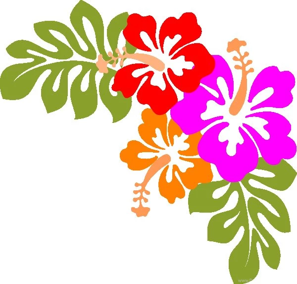 Luau Wallpapers   Cliparts.co