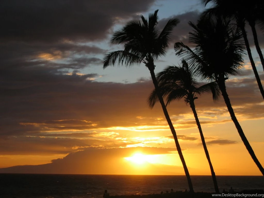 Maui Cocktail Luau