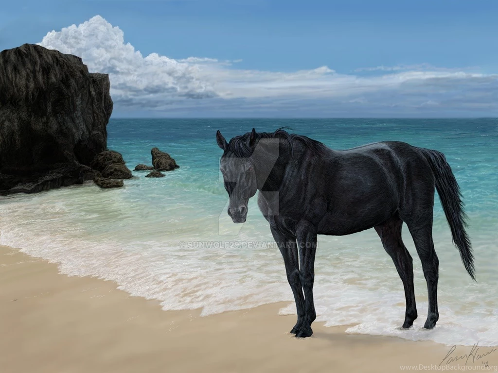 Black Stallion On Beach By Sunwolf29 On DeviantArt