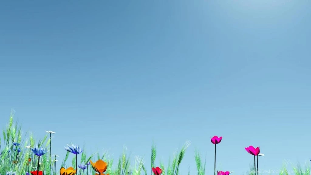 Bright Flowers In Spring Wallpapers   (