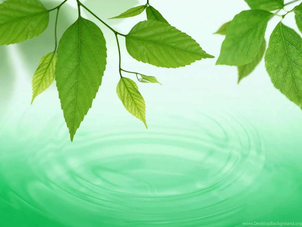 Windows Vista Green II Wallpapers