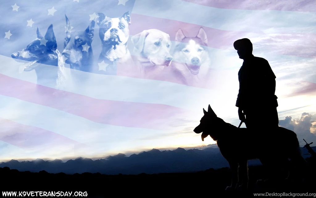 DeviantArt: More Like Commission K9 Vets Wallpapers By MauserGirl