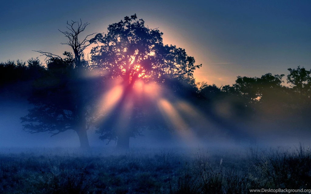 Theme Bin» Blog Archive » Sunset HD Wallpapers