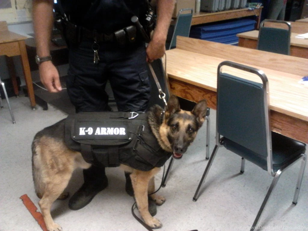 K9 ARMOR Accepts Donations To Give FREE Bulletproof Vests To CA ...