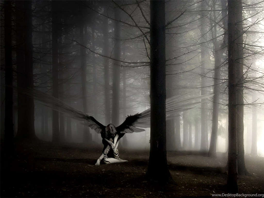 Fallen Dark Angel HD Wallpapers Wallpapers