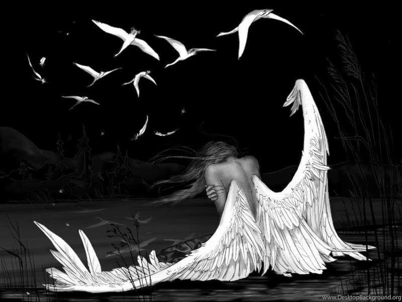 Fallen White Angel Backgrounds Wallpapers