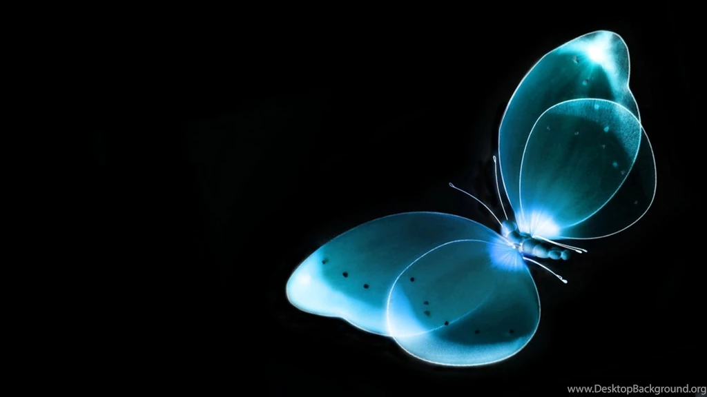 High Resolution Butterfly 3D Wallpapers Full Size SiWallpaperHD 13289