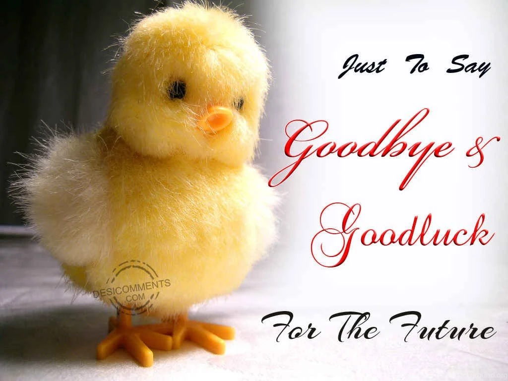 Goodbye Cartoon Images HD Wallpapers And Pictures