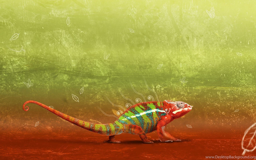 Cool Animal Backgrounds