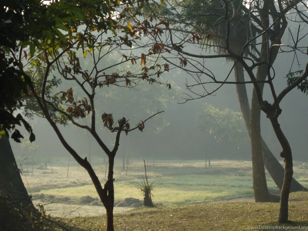 Bangladesh....................in Winter (morning) Bangladesh ...