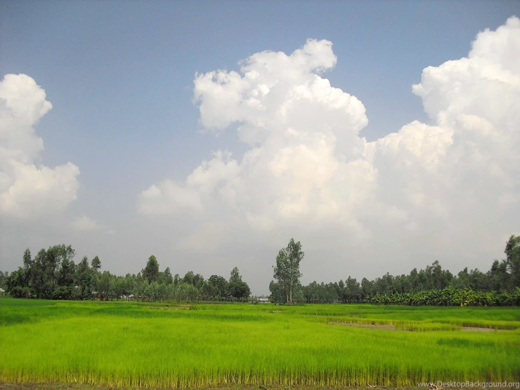 Village Shanto Bangladesh Wallpapers (36259363) Fanpop